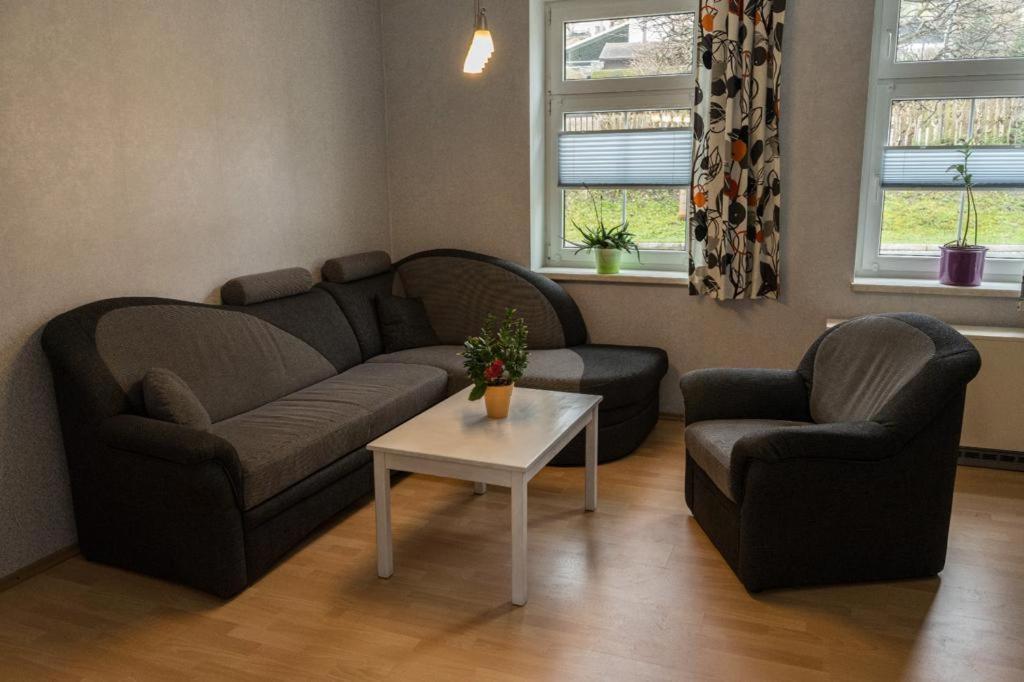 Ferienwohnung Otto Klingenthal Εξωτερικό φωτογραφία